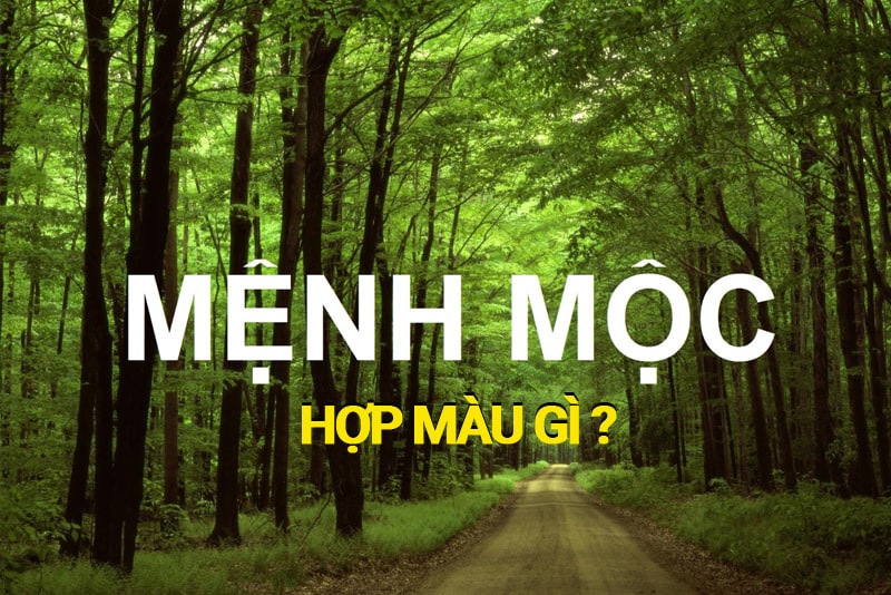 CÁCH CHỌN ĐỒNG HỒ HỢP VỚI NGƯỜI MẠNG MỘC ?