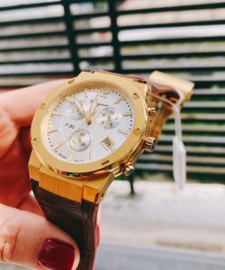 Đồng hồ Ferragamo nam F80